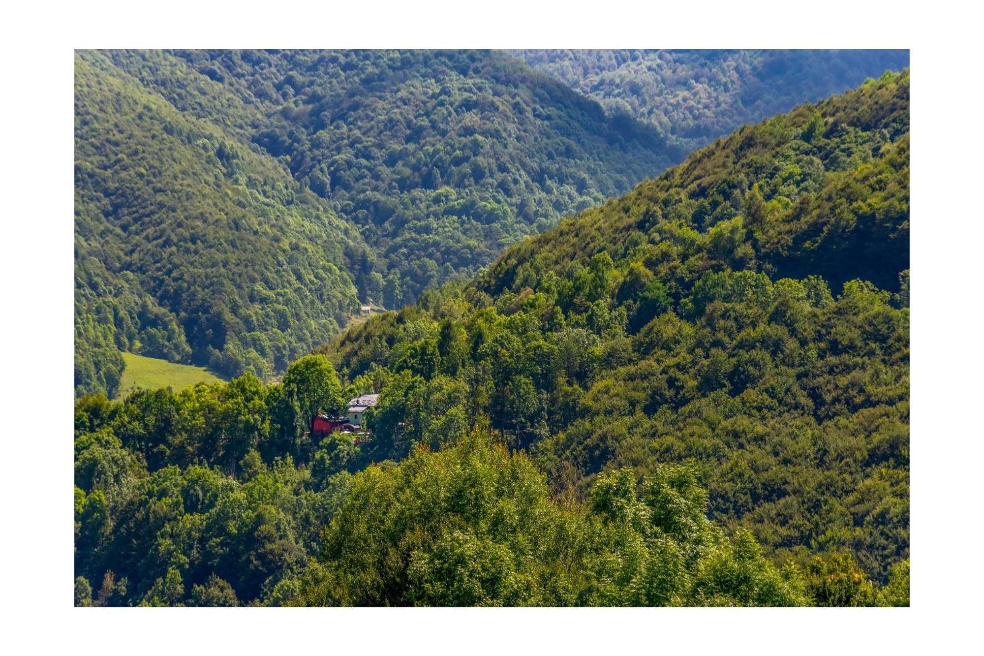 Chalet Bragard Limone Piemonte Exterior foto